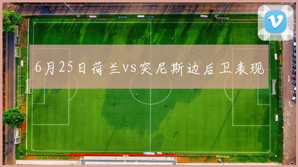 6月25日荷兰vs突尼斯边后卫表现