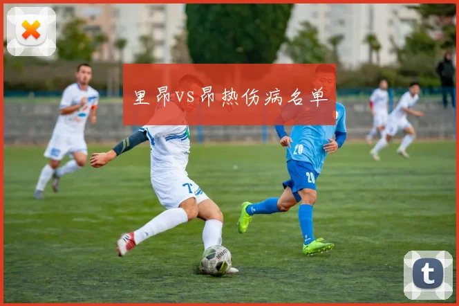 里昂vs昂热伤病名单