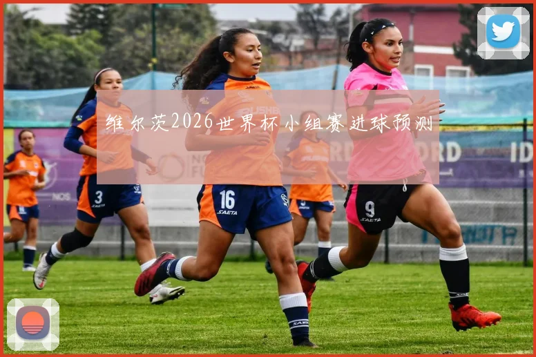 维尔茨2026世界杯小组赛进球预测