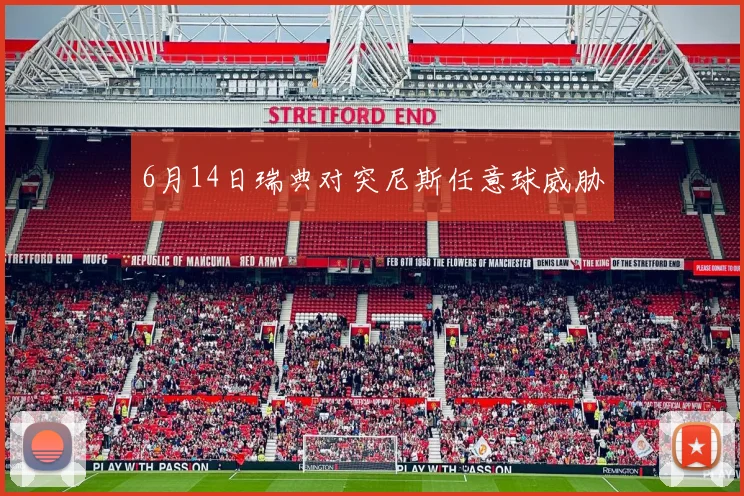 6月14日瑞典对突尼斯任意球威胁